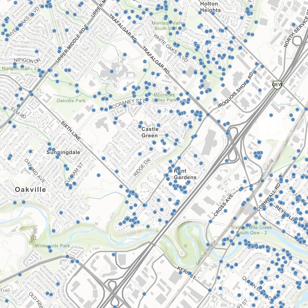Coyote sighting in Oakville.