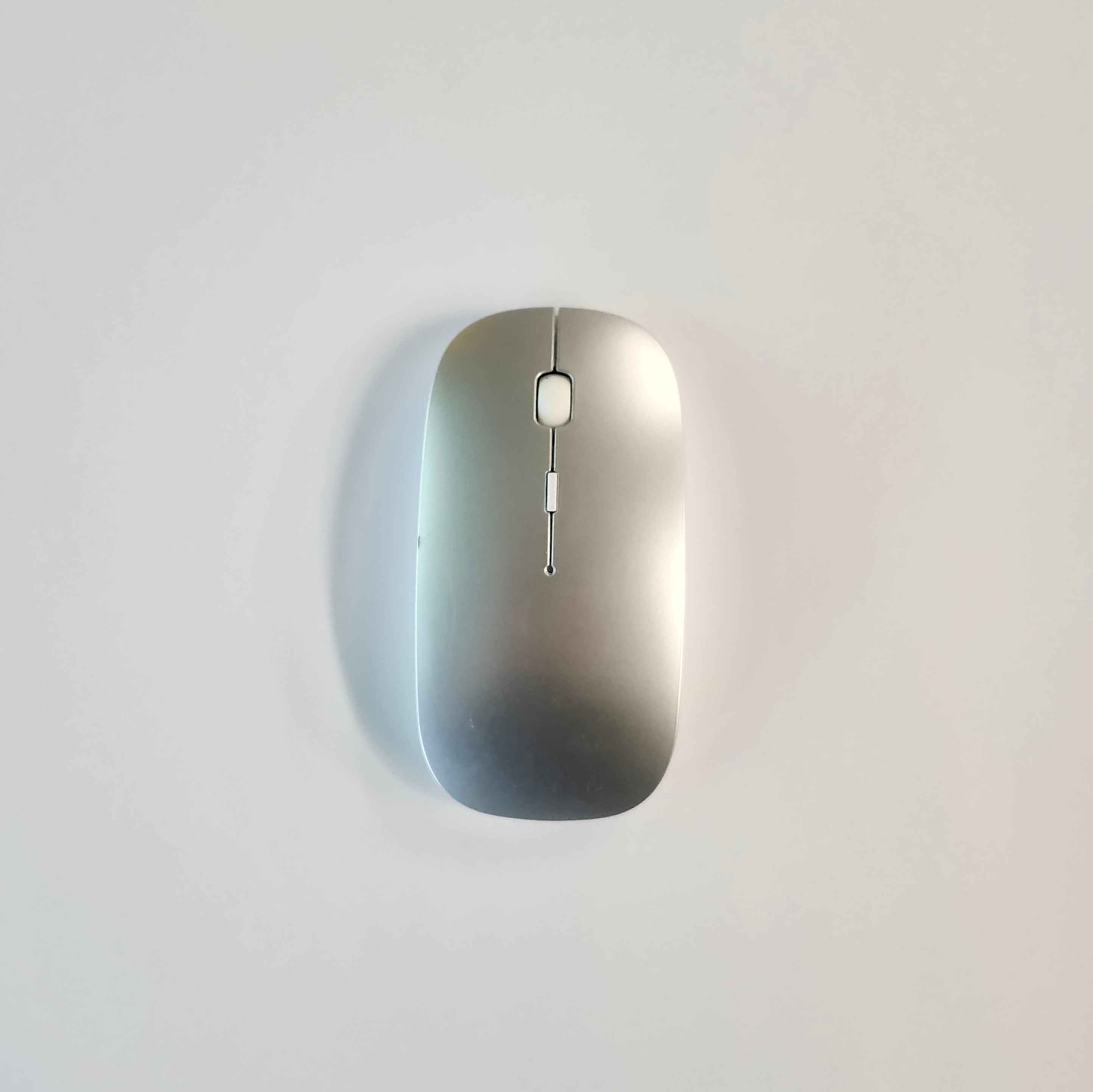 This is a grey bluetooth mouse from the top view, which is one of my complex items.